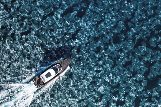 59347505_1703441016194