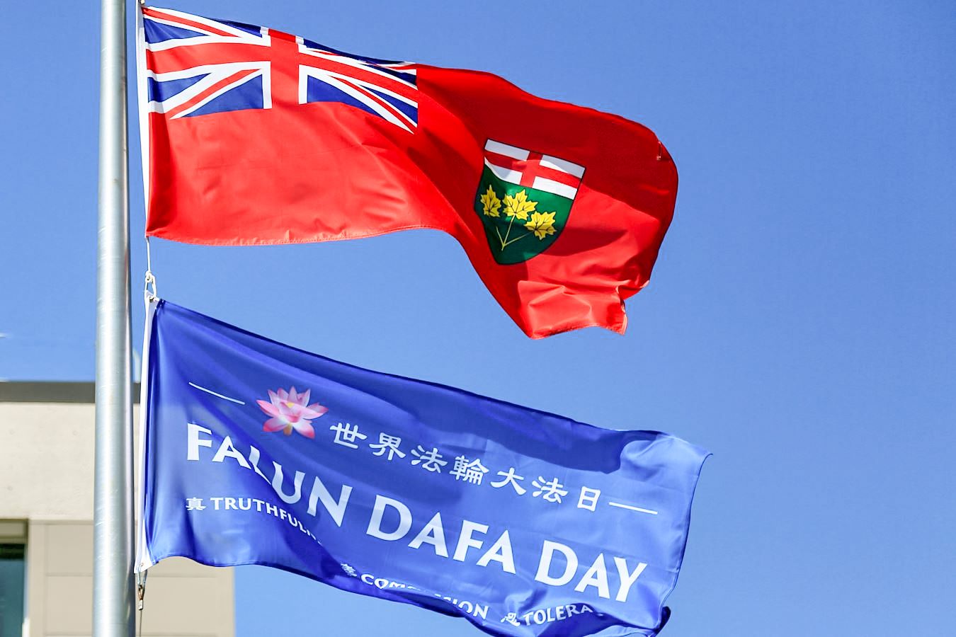 55418315_1716519087853