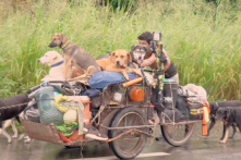 Người đàn ông đi bộ 13.000 km để cưu mang các chú chó bên đường Mexico