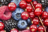 Quả mọng – loại hoa quả lý tưởng cho người bệnh tiểu đường