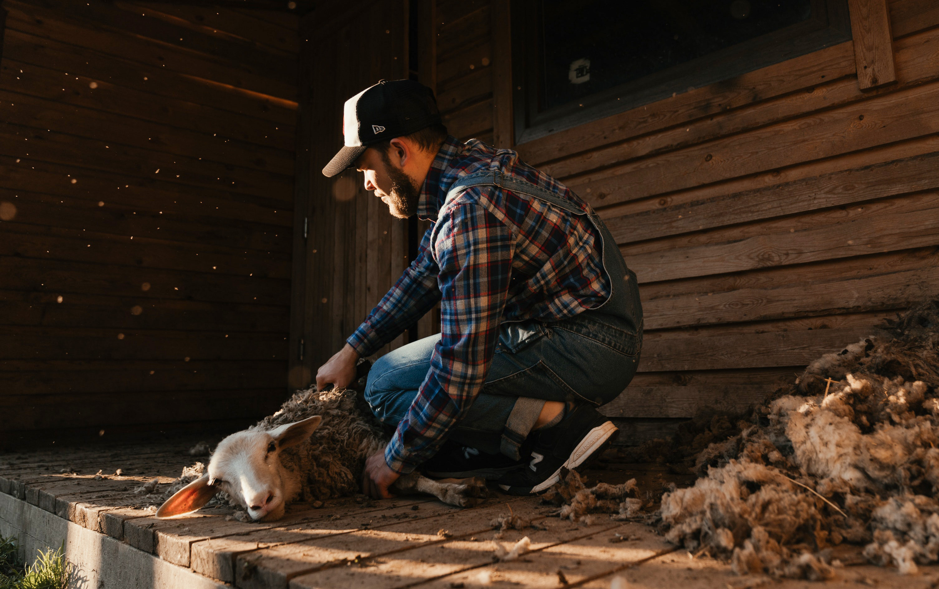 Người Mỹ không phô trương giàu có, người Trung Quốc ngưỡng mộ sự xa hoa