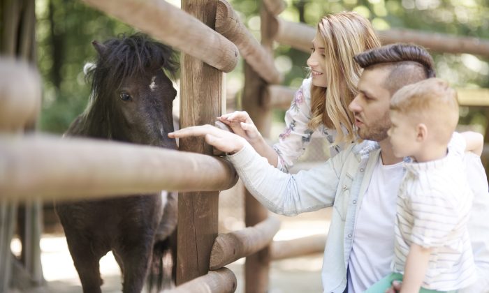 Làm sao để dưỡng thành những đứa trẻ tốt