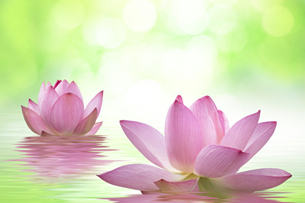 ‘Trộm cướp cũng có đạo’: Một lời nhân nghĩa đủ đoạn ác tâm