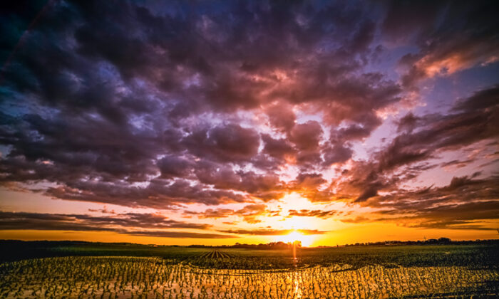 Nhiếp ảnh: Hoa Kỳ tươi đẹp