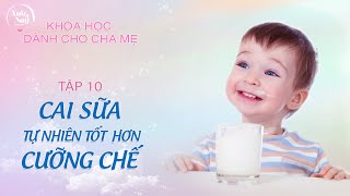 Cai sữa cho trẻ một cách tự nhiên tốt hơn là cưỡng chế? Tập 10 | Khóa học dành cho cha mẹ