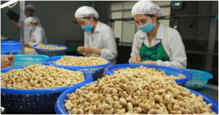 Lộ diện đối tượng lừa đảo vụ 36/100 container hạt điều mất kiểm soát