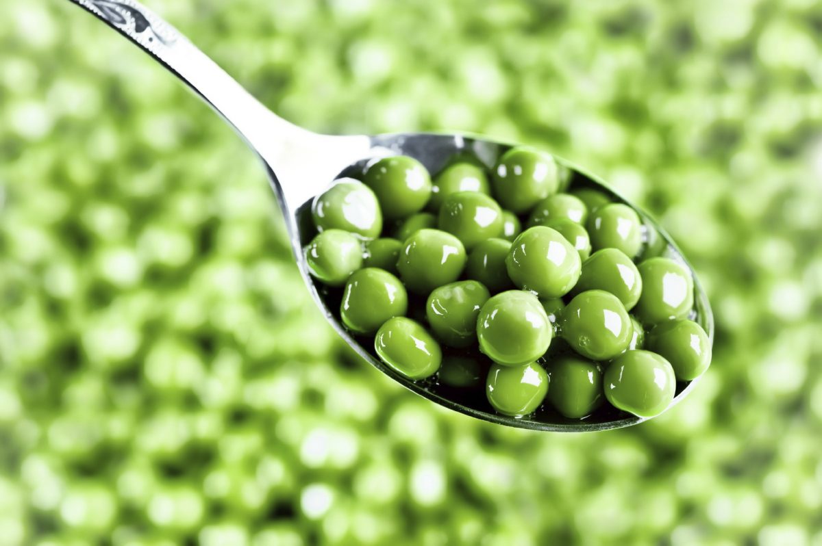 nguồn cung cấp protein tốt nhất cho người ăn chay