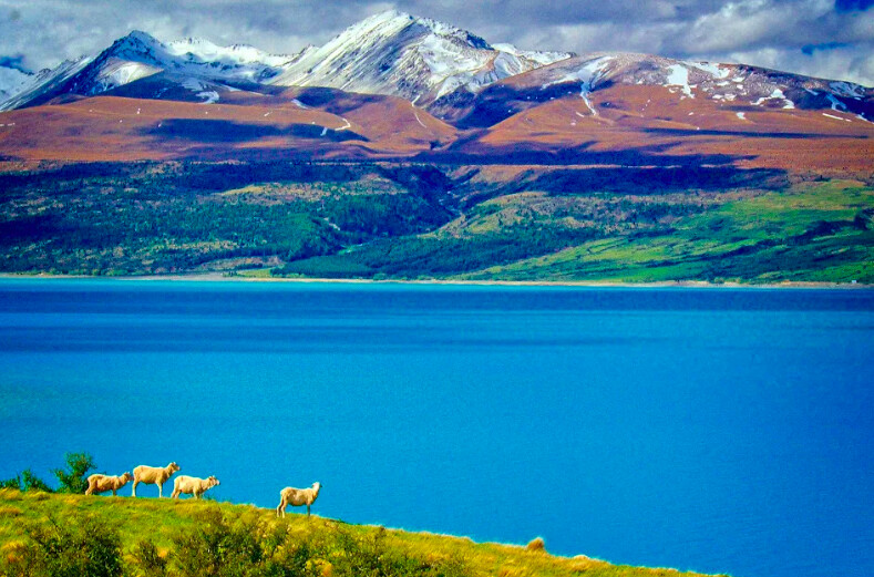 Đất nước Tân Tây Lan