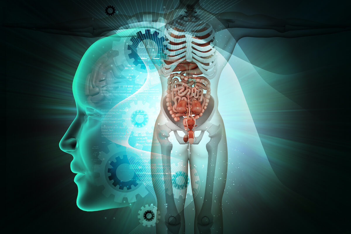 Tìm hiểu về hệ nội tiết của bạn 