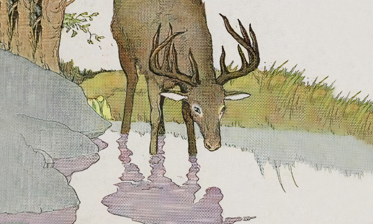 Truyện ngụ ngôn