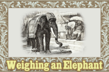 Câu chuyện đạo đức McGuffey Cân voi