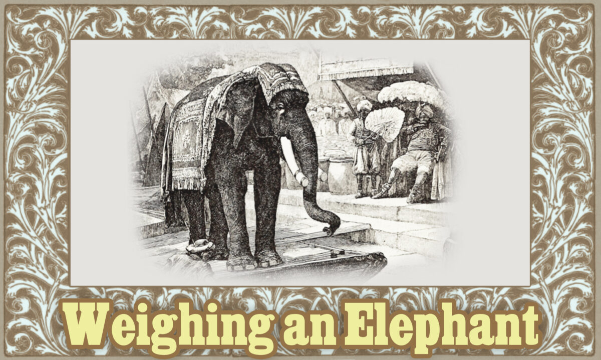 Truyện ngắn McGuffey: Cân voi