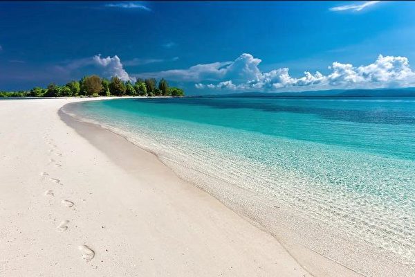 Những dấu chân trên bờ cát trắng