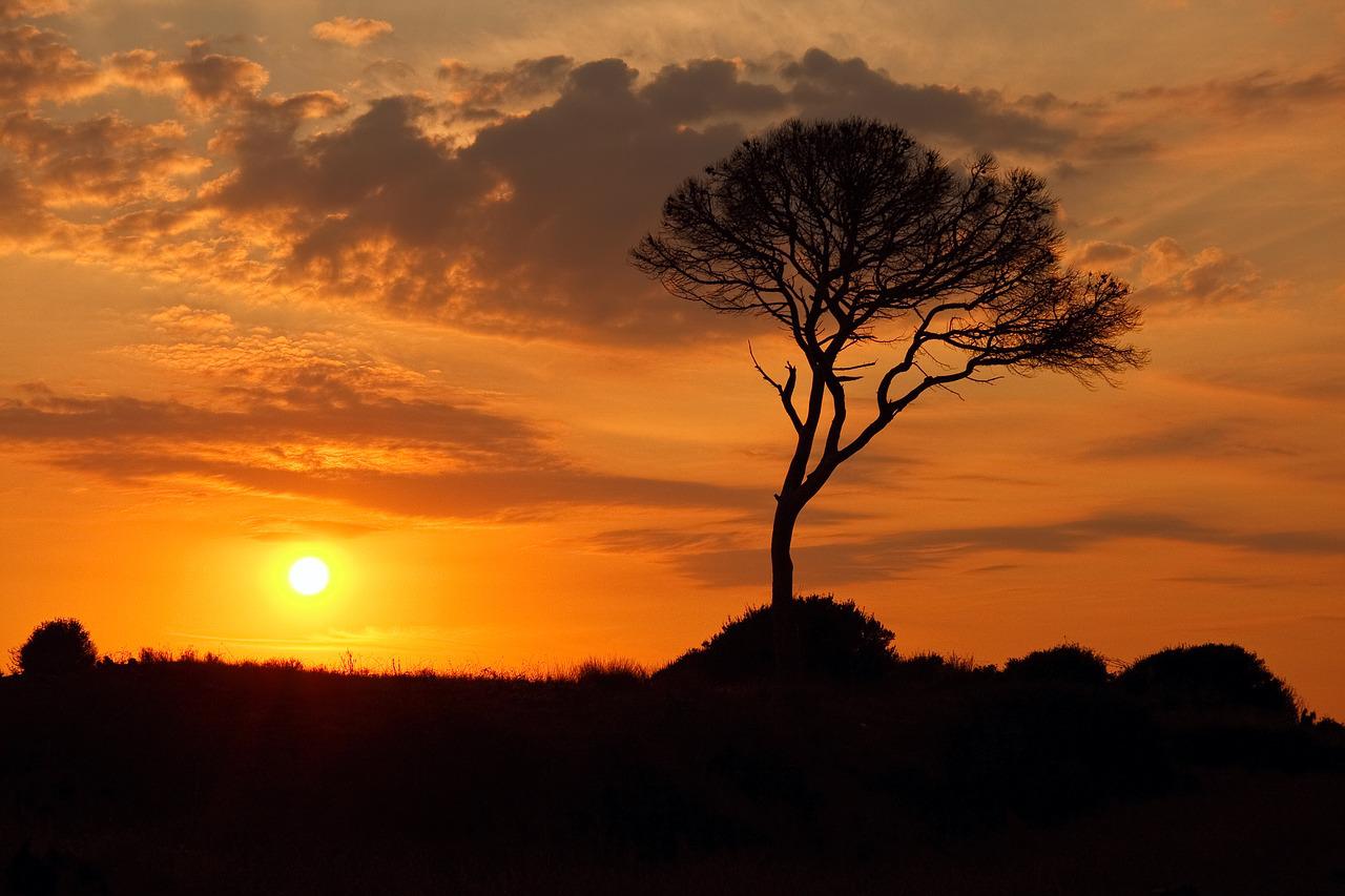 Tại sao người xưa dùng ‘tấc’ để đo thời gian?