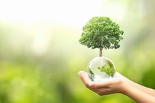 Nắm vững 2 giờ vàng vào buổi sáng để tận dụng hiệu quả thời gian