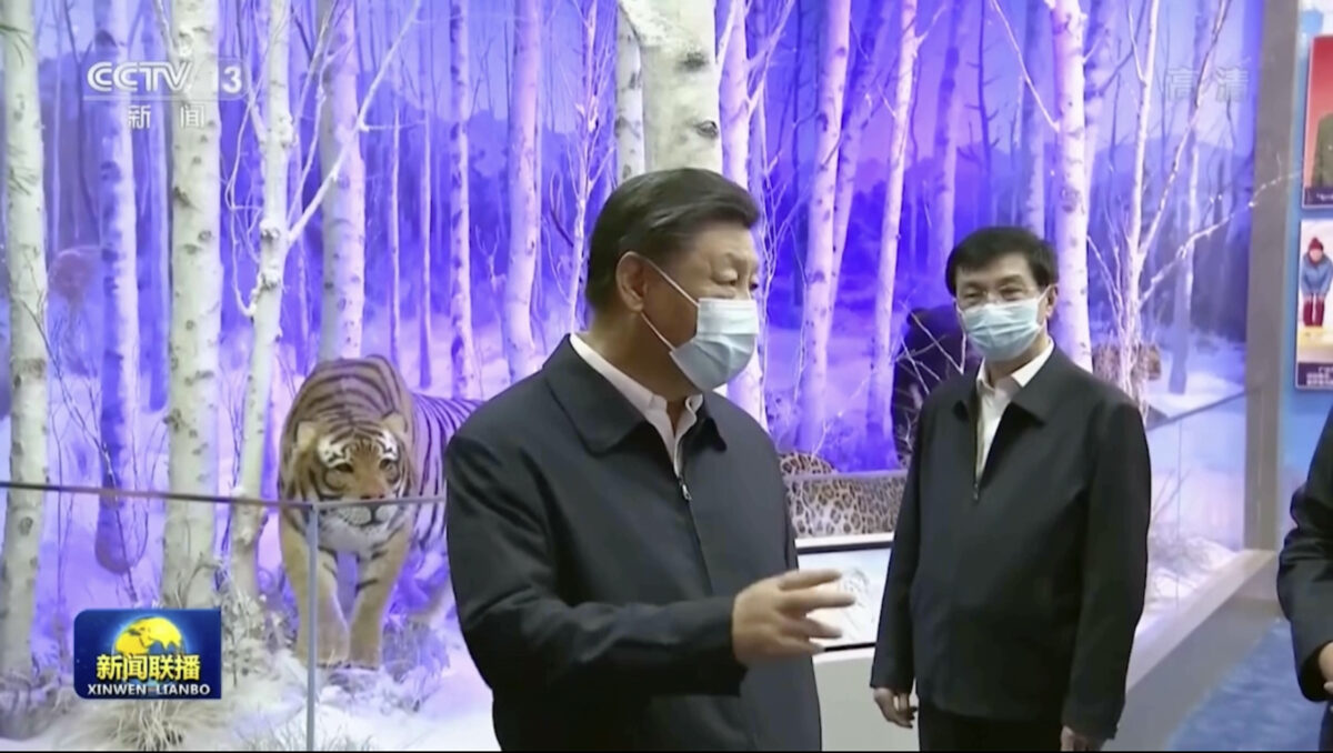 Ông Tập xuất hiện trước công chúng, xua tan tin đồn về bất ổn và đảo chính ở Trung Quốc