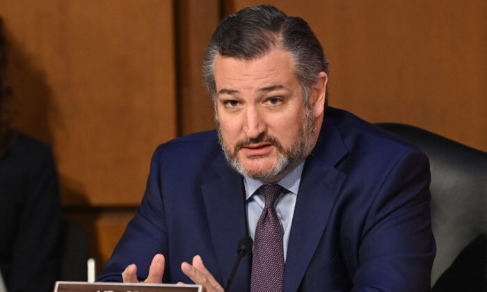 Thượng nghị sĩ Ted Cruz (Cộng Hòa-Texas) trình bày trong phiên điều trần xác nhận cho Thẩm phán Ketanji Brown Jackson trước Ủy ban Tư pháp Thượng viện về việc đề cử bà làm Thẩm phán Tối cao Pháp viện Hoa Kỳ, tại Tòa nhà Văn phòng Thượng viện Hart trên Capitol Hill ở Hoa Thịnh Đốn hôm 22/03/2022. (Ảnh: Saul Loeb/AFP qua Getty Images)