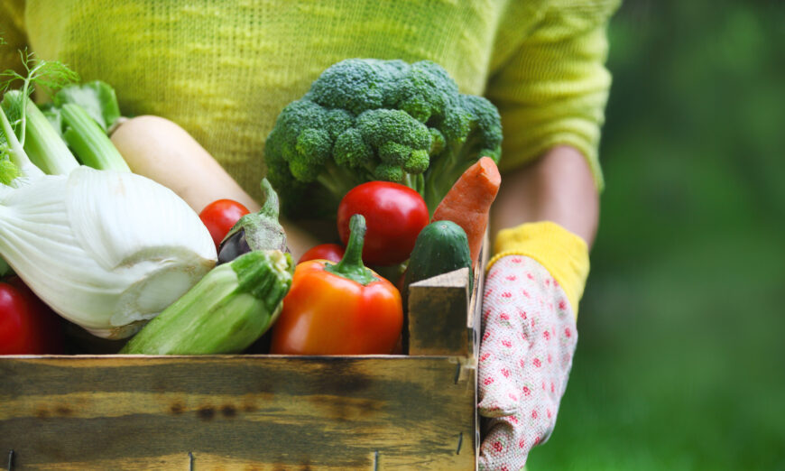 (Ảnh: Shutterstock)