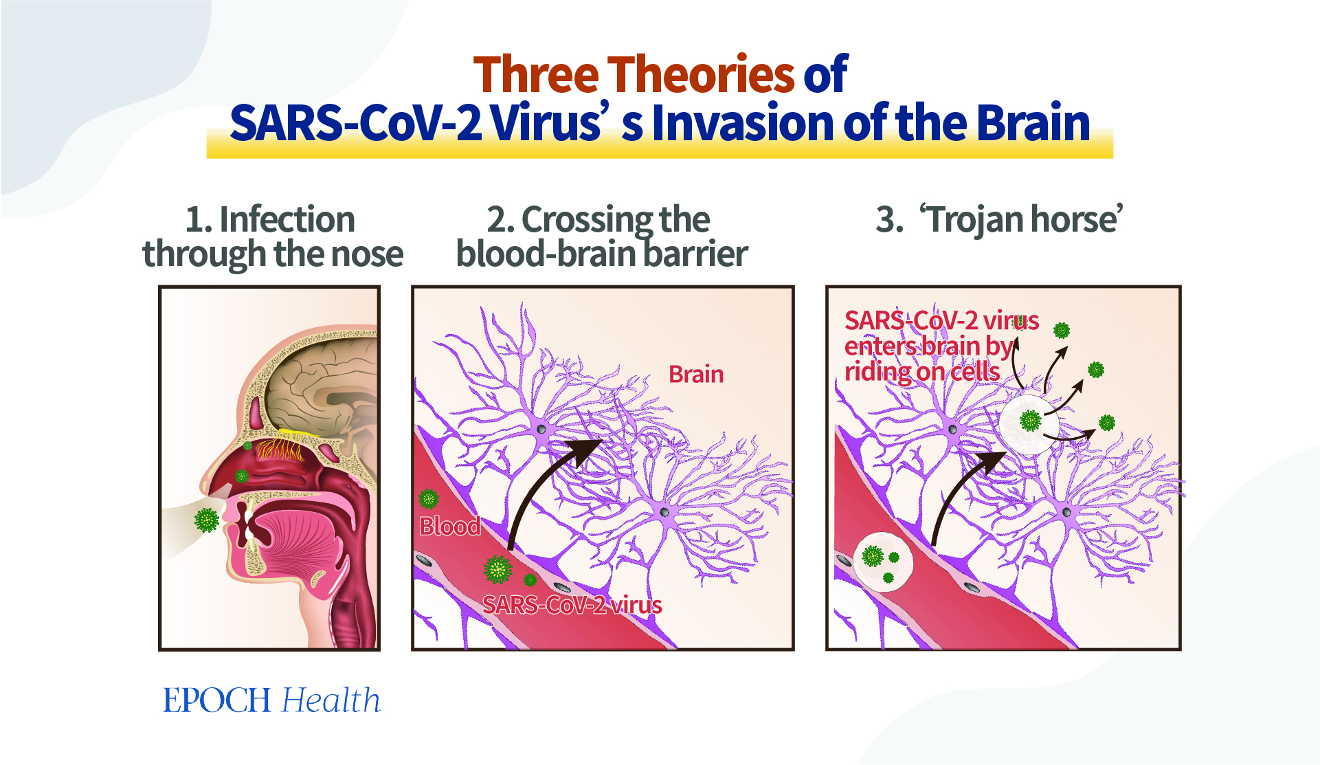 (Ảnh: Epoch Health)