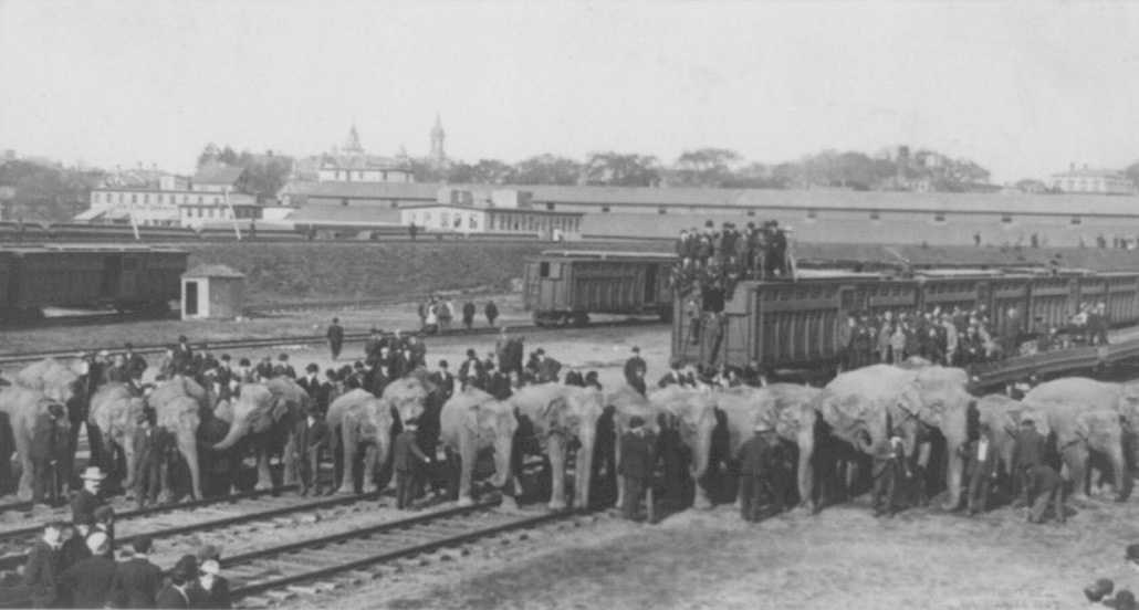 (Ảnh: Tài sản công)