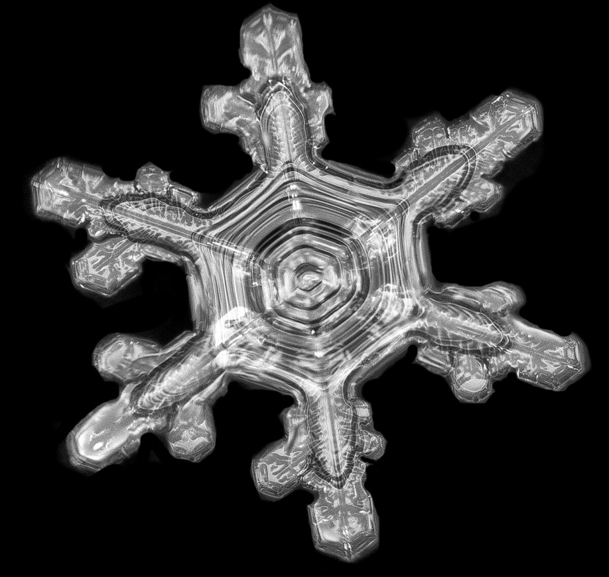 Ống kính tinh tế. (Ảnh: Đăng dưới sự cho phép của ông Jason Persoff)