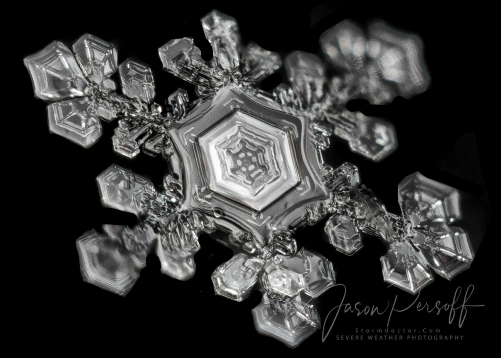 Tie Interceptor (tác giả đặt tên theo một loại phi cơ trong loạt phim “Chiến tranh giữa các vì sao”). (Ảnh: Đăng dưới sự cho phép của ông Jason Persoff)