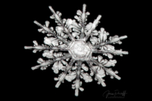 (Ảnh: Đăng dưới sự cho phép của ông Jason Persoff)