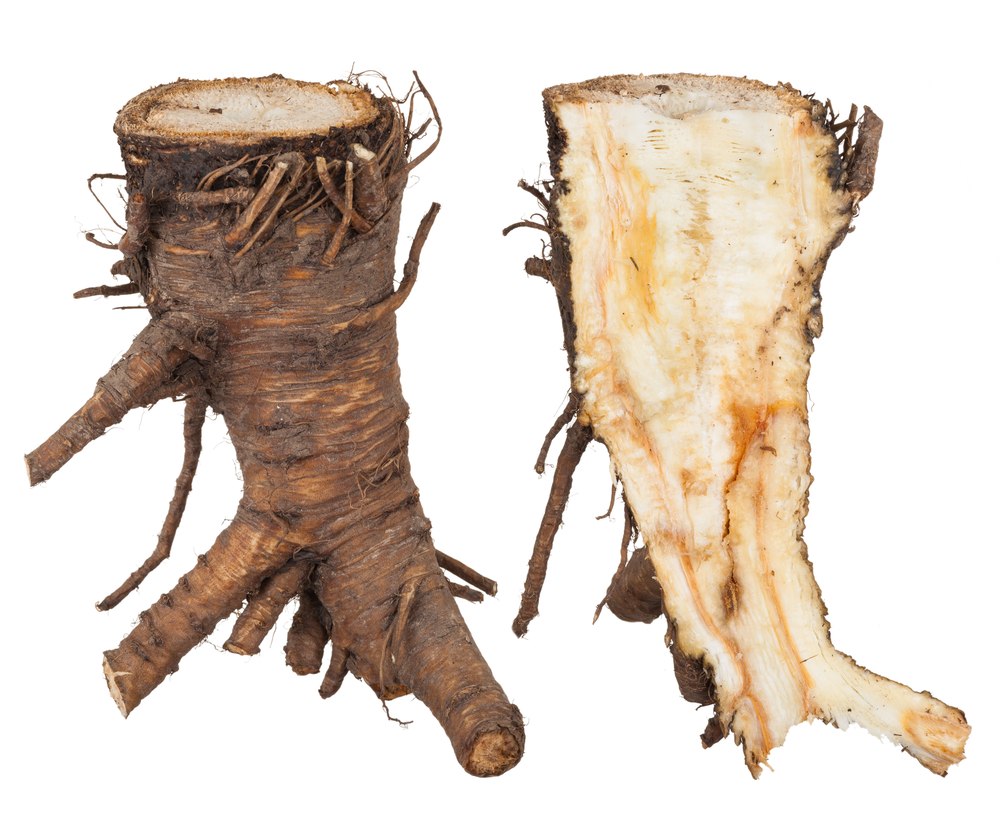 (Ảnh: Shutterstock)