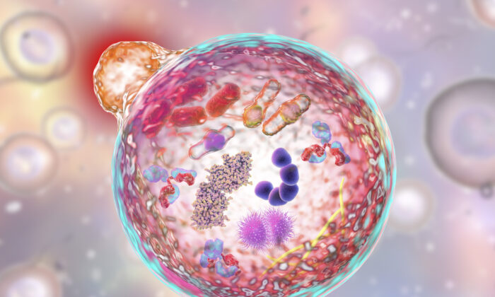 (Ảnh: Kateryna Kon/Shutterstock)