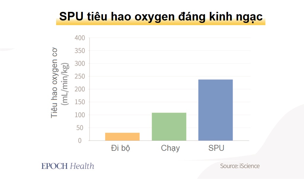Bài tập ngồi đơn giản giúp giảm lượng đường và lipid máu