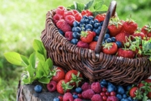 Các nghiên cứu đã phát hiện ra rằng những người tiêu thụ quả việt quất có quá trình peroxy hóa lipid trong lipid máu thấp hơn và phản ứng viêm thấp hơn. (Ảnh: Shutterstock)