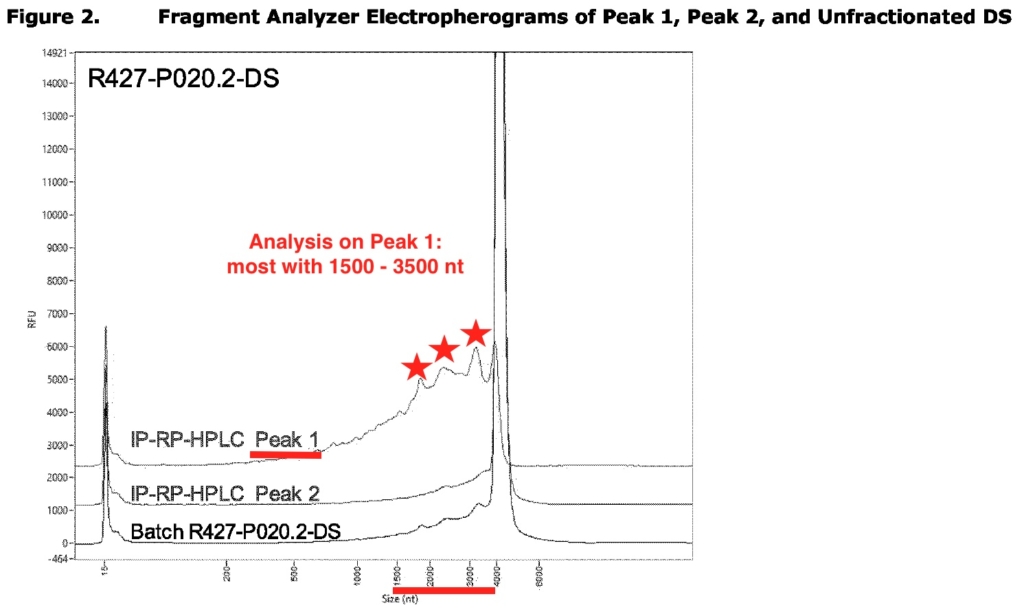 Peak 1 chứa các mARN bị cắt ngắn nhất với chiều dài từ 1,500-3,500 nucleotide. (Ảnh: EMA)