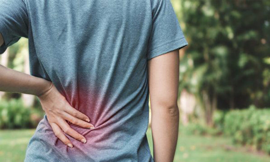 (Ảnh: Shutterstock)