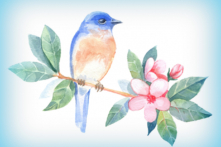 Người đàn ông suốt ngày chỉ thích vui chơi, mải mê với thú chơi chim, hóa ra là có nguyên nhân liên quan đến tiền kiếp. (Ảnh: Fotolia)