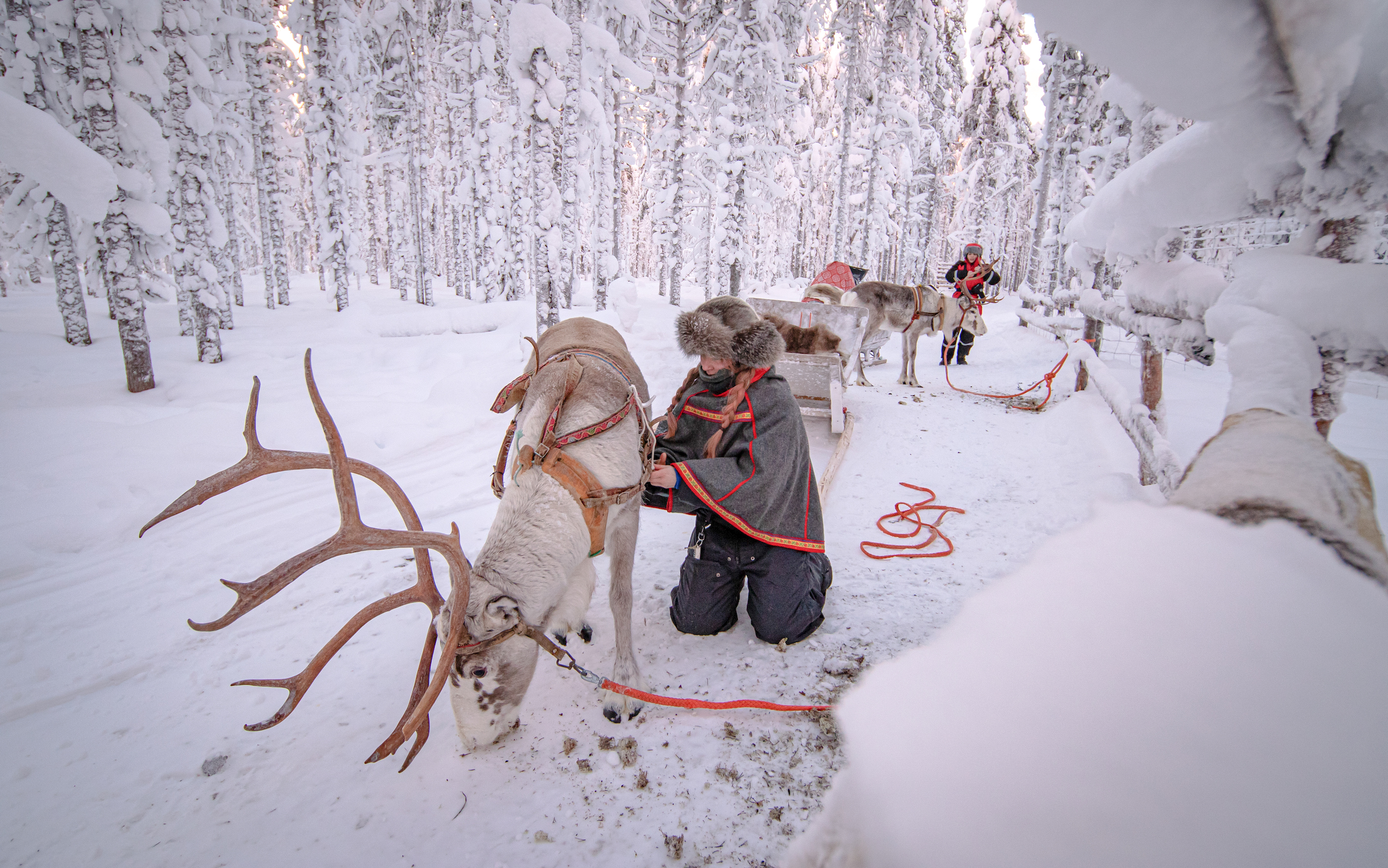 (Ảnh: Đăng dưới sự cho phép của cô Janita Kenttälä)