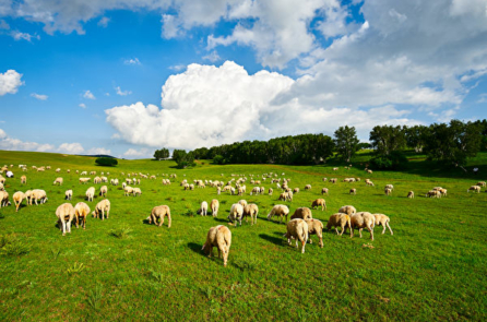 Tại sao một điệu nhạc ngân dài của Mông Cổ lại khiến lòng người rung động?