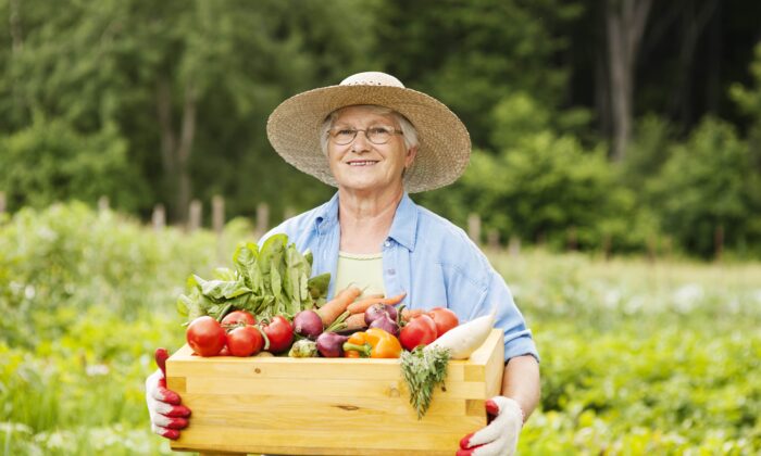 Ăn nhiều trái cây và rau quả có thể giúp giảm tiêu thụ những thực phẩm không lành mạnh khi đói. (Ảnh: gpointstudio/Shutterstock)
