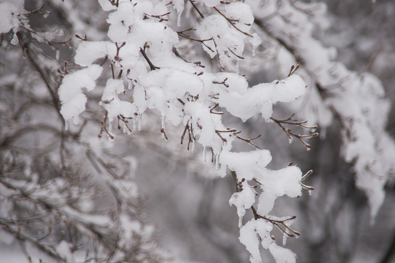 Hoàng Đế Khang Hy mỗi ngày đều đi đến suối nước nóng vấn an tổ mẫu, bất kể mưa tuyết lạnh giá, đường sá tốt xấu, mỗi lượt đi lại hơn 60 dặm, thậm chí một ngày còn đi hai lần. (Ảnh: Đới Binh / Epoch Times)