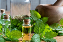 Cô Erica Kuo, một nhà giáo dục về liệu pháp mùi hương thảo dược, cho biết thảo dược lâm sàng điều trị các triệu chứng của cơ thể con người từ góc độ toàn diện và có thể giúp những người mất ngủ đi vào giấc ngủ. (Ảnh: Madeleine Steinbach/Shutterstock)