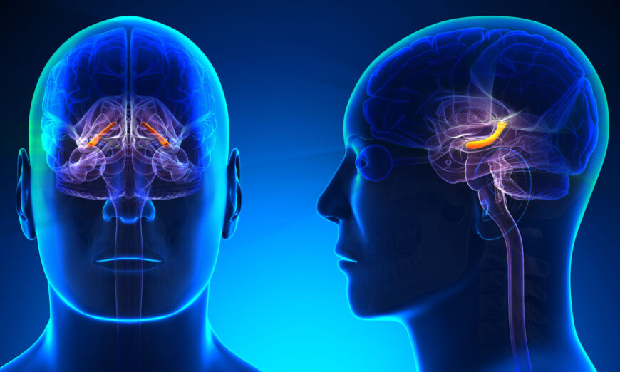 Fluoride ảnh hưởng lên sức khỏe như thế nào từ góc độ khoa học?