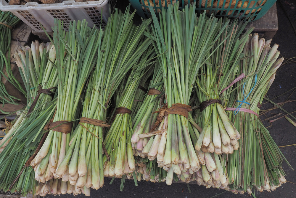 Khi dùng sả trong món ăn, lấy nhiều phần sát gốc một chút, bóc bỏ lớp vỏ sần sùi, phần lõi mềm bên trong có thể ăn được. (Ảnh: Shutterstock)