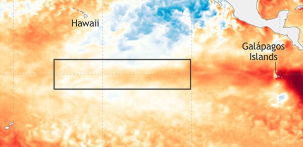 Một bản đồ của NOAA, hôm 04/06/2023, cho thấy các ảnh hưởng của El Nino ở Thái Bình Dương. (Ảnh: Cơ quan Quản lý Khí quyển và Đại dương Quốc gia Hoa Kỳ)