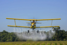 Thuốc diệt cỏ atrazine thông thường gây ra quá trình mất nam tính và nữ tính hóa ở ếch, làm dấy lên những lo ngại ở người. (Ảnh: ShutterStock)