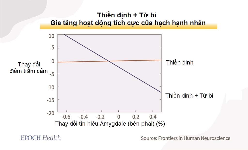 60-80% bệnh tật có liên quan đến kiểu tính cách