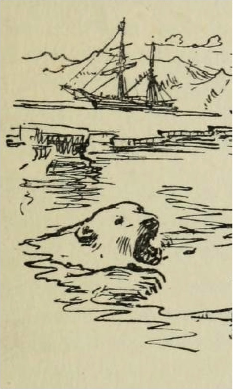 Darwin đã kể câu chuyện về một con gấu đen biến thành một con cá voi trong ấn bản đầu tiên của cuốn “Nguồn gốc các loài.” (Ảnh: “Nguồn gốc các loài” ấn bản đầu tiên).