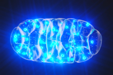 Điều gì gây nên bệnh tâm thần? (Ảnh: (Steven McDowell/Shutterstock)