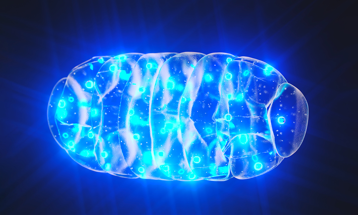 Điều gì gây nên bệnh tâm thần? (Ảnh: (Steven McDowell/Shutterstock)