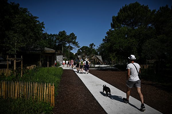 Ngày 09/07/2023, tại La Teste-de-Buch nước Pháp, du khách đến thăm quan Dune of Pilat. Đây là cồn cát cao nhất châu Âu. (Ảnh: Philippe López/AFP)
