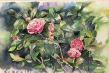 Cuộc sống không nhất thiết phải hoàn hảo, 85 điểm đôi khi tốt hơn 100 điểm