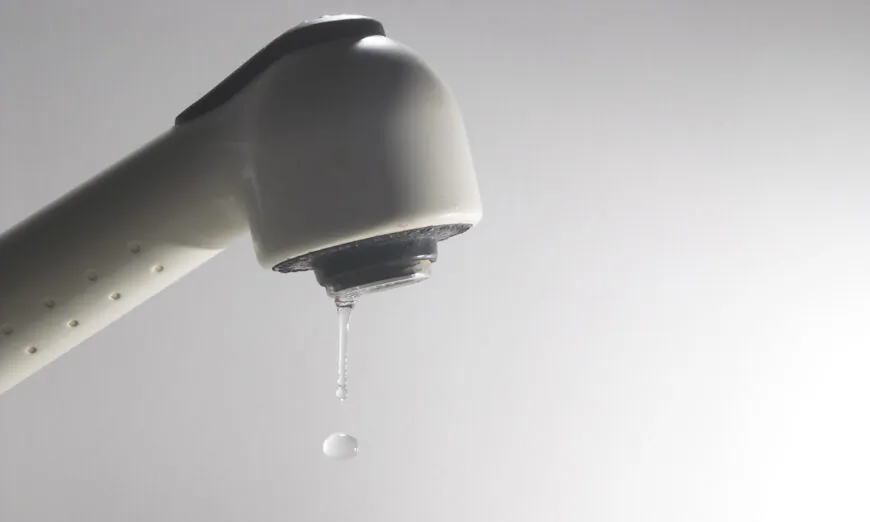 (Ảnh: Rob Byron/Shutterstock)